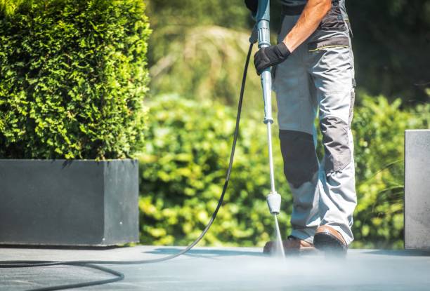 Best Fence Cleaning  in Newton, MA